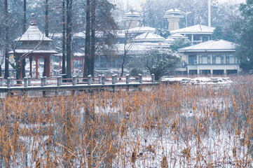Fototapeta na wymiar Winter snow scene in Moshan Scenic Area, East Lake, Wuhan, Hubei