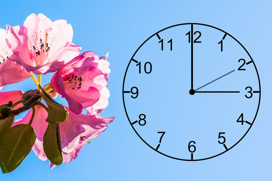 Zeitumstellung Sommerzeit, Uhr mit Frühlingsblüten