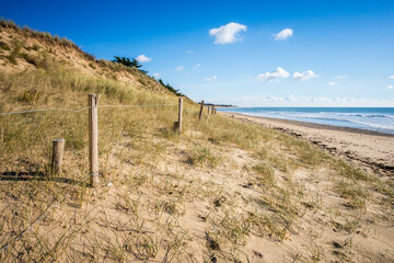 Fototapeta na wymiar Sand dune and fence on a beach, Re Island, France