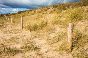 Sand dune and fence on a beach, Re Island, France