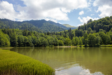 Fototapeta na wymiar Borcka Black Lake is in Artvin province