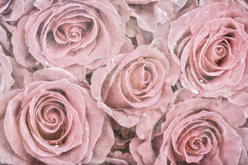 Faded roses