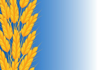Wheat ears on a blue gradient background.