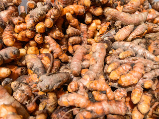 close-up turmeric root in group.