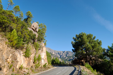 Mountain road in Bavella forest. Corsica island