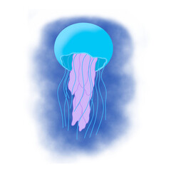 illustration jellyfish sea underwater world blue isolated object on a white background gentle colors raster drawing..