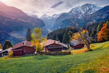 Amazing autumn view of Wengen village, district of Lauterbrunnen. Gloomy morning scene of Swiss Alps. Picturesque autumn landscape of Switzerland countryside, Europe. Traveling concept background.