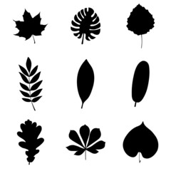 Set of isolated leaf silhouettes. Black leaves on a white background. Vector illustration.