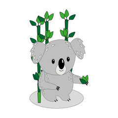Koala and bamboo, leaves, isolated, white background