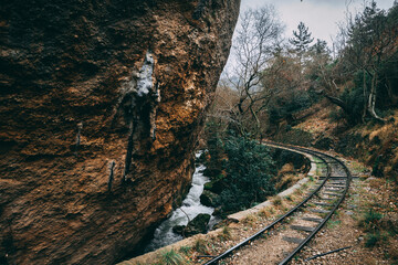 Railway through Rivers and Forrest