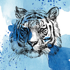 A combination of blue watercolor spots and splashes with the image of a tiger for the design of postcards, posters and other printed products