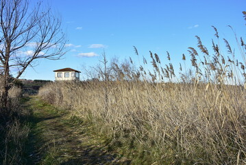 birds area and Nature reserve of Axios river, Greece