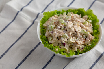Homemade Chicken Salad with Lettuce in a White Bowl, side view. Space for text.