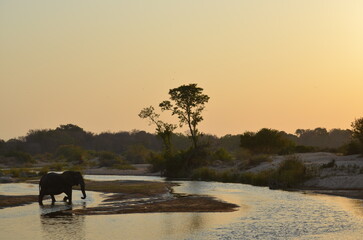 Parque Kruger South africa