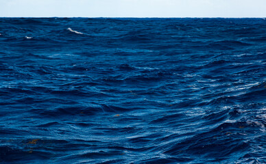 Heavy storm in the ocean. Large waves in the open sea and cloudy sky during a storm.