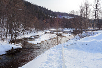 Winter landscape of the lake. river. A beautiful pond with tall Christmas trees. The green sea. Park. The ground is covered with snow. For postcards.