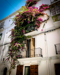 Fototapeta na wymiar mediterranean house and balcony with flowers in ibiza