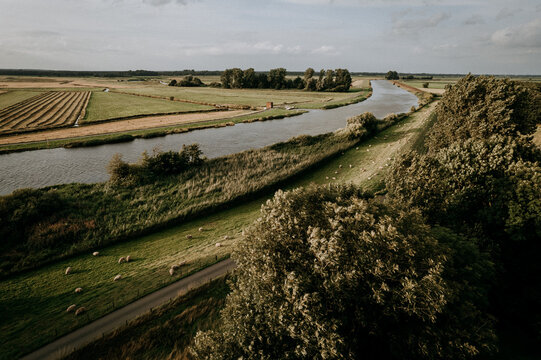 oldenburger m&uuml;nsterland mit felder wiese und schafe