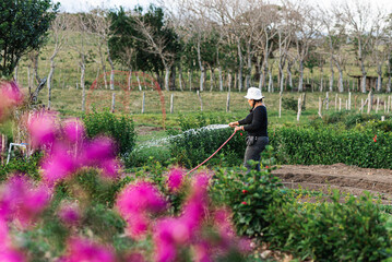 Latina woman outdoors in sombrero with a hose watering plants 