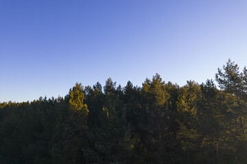 Drone photo of forests and groves in golden time