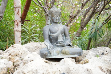 Fototapeta na wymiar buddha statue in the garden
