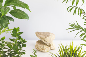 Minimal modern product display on neutral light grey background with plant. Stone podium and green leaves. Concept scene stage showcase for new product, promotion sale, banner, presentation, cosmetic