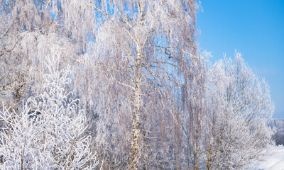 not frozen pond in winter