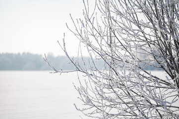 not frozen pond in winter