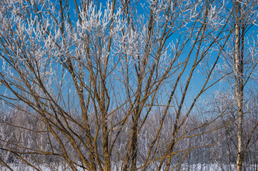 not frozen pond in winter