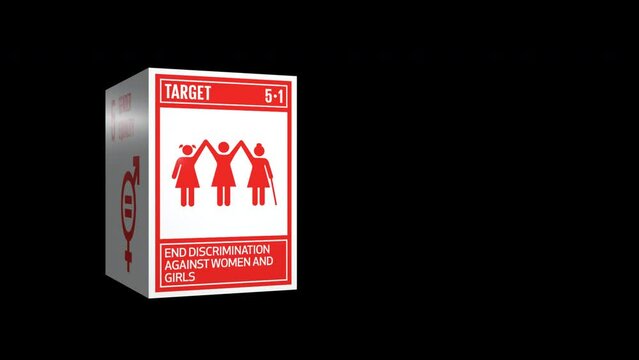 5 Gender Equality Targets icons Motion Graphic Animation SDGs 17 Global Goals With Alpha Channel