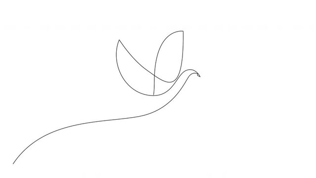 Self drawing animation of continuous line concept sketch of dove with olive branch. Peace symbol. 4K. Alpha channel
