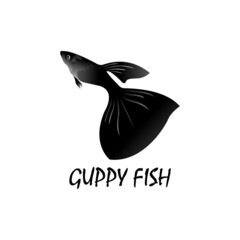 Modern guppy fish logo concept, vector illustration