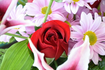 Flowers