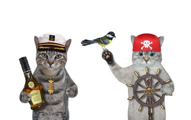 Cat ashen holds helm of pirate ship 3