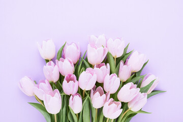 Bunch of lilac tulips on a lilac background. Mother's day, Valentines Day, Birthday concept