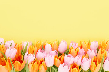Pink and orange tulips on a yellow background. Mothers Day, Valentines Day, birthday concept