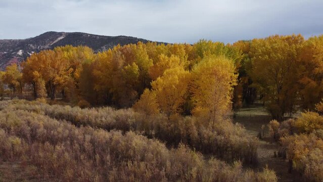 Drone view - Durango, Colorado