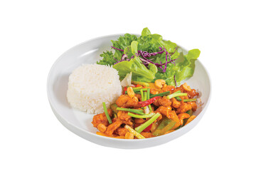 Fried Chicken.Cashew Nut.and Jasmine Rice in a white plate