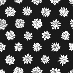Seamless vector pattern of succulents. Background for greeting card, website, printing on fabric, gift wrap, postcard and wallpapers.
