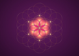 Seed of life symbol Sacred Geometry. Gold Logo icon  Geometric mystic mandala of alchemy esoteric pink Flower of Life. Interlaced circles, vector divine meditative amulet isolated on purple background
