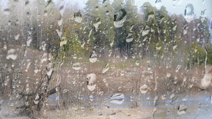 Close up of rain drops on window on the rainy day, blurred green forest