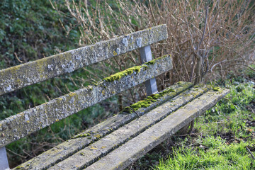 old wooden bench in the park