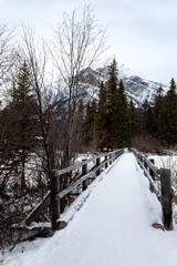 snow covered walkway bridge leading towards mountain surrounded by snowy trees frozen lake