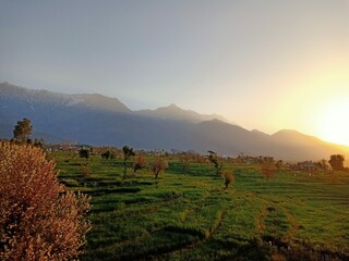 Mountains, Fields and Sunrise