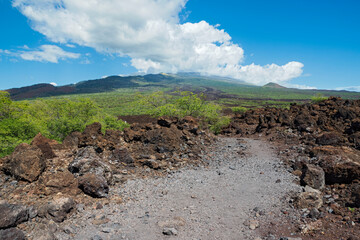 hoapili trail through lava field and mountain landscape