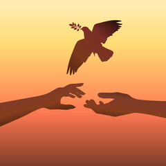 Hands silhouette on sunset background. Flying pigeon, peace in world.