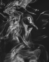 Fototapeta premium The image of a monster with smoke scary face
