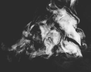 Obraz na płótnie Canvas The image of a monster with smoke scary face