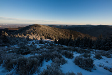 View of the landscape or nature detail from Lysá Hora. Queen of the Beskydy Mountains. Czech Republic Europe.