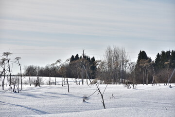 пасхальная весенняя композиция из солнышка и яйцо и вербы